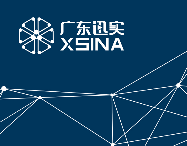 广东迅实科技有限公司